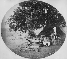 En varm dag i den indiske jungelen, ca. 1860