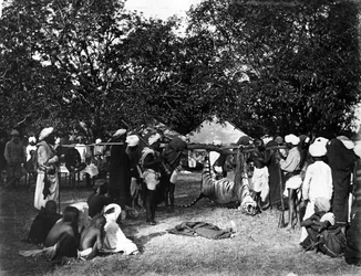Tigerjakt i India, ca. 1870-tallet