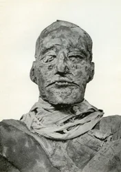 Leder for mumien til Rameses III, gammel egyptisk farao fra det 20. dynastiet, c1156 f.Kr. 1926