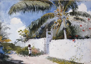En hage i Nassau, 1885