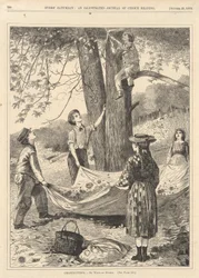 Kastanje, fra hver lørdag 29. oktober 1870