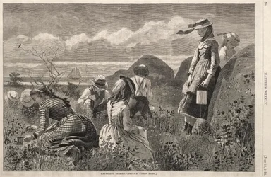 Samler bær, 1874.