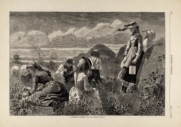 Å samle bær, fra Harper#39;s Weekly, 11. juli 1874