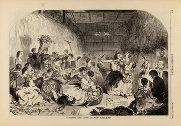Avskalling av maisen i New England, fra Harper#39;s Weekly, 13. november 1858