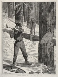 Tømmer om vinteren, 1871.