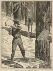 Tråklete om vinteren, fra Hver lørdag: En journal med valgfri lesning, 28. januar 1871