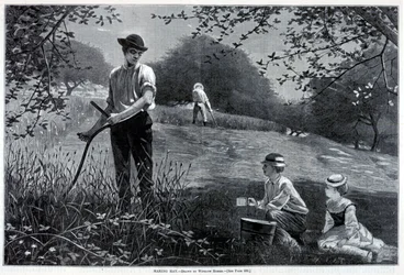 Å lage høy, fra Harper#39;s Weekly, 6. juli 1872