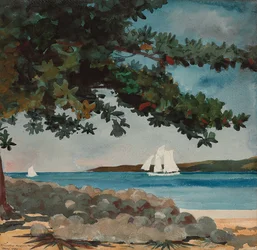 Nassau: Water and Sailboat, 1899