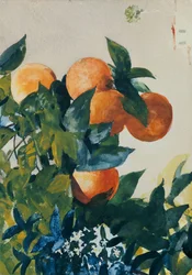 Appelsiner på en gren, 1885