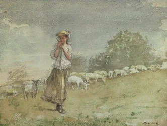 Ting Sheep, Houghton Farm, ca. 1878-79