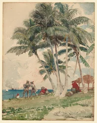 The Buccaneers, 1885.