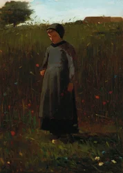 Markens blomster