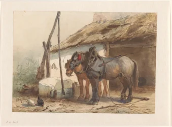 To hester som står foran en stall
