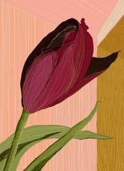 Crimson Tulip-hjørnet