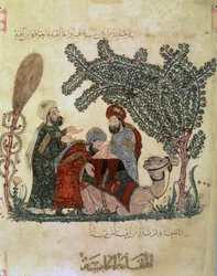Abu Zayd, Al-Harrith, en liggende kamel og en figur