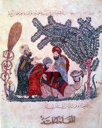 den borgerlige al-Harith (Al Harith), sønn av Hammam, oppdager en melding fra den vandrende navigatøren Abu-Zayd (Abu Zayd) -Hariri eller Al Hariri) (1054-1122) opplyst