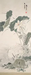 Hegre og lotus, n.d.