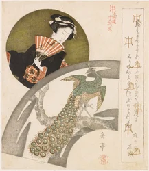 Geisha og påfugl på plommeblomst; En serie på ti trykk for Honchôren (serietittel); Honchôren jûbantsuzuki (serietittel på objektet)