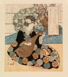 Dame som spiller et instrument, ca. 1804-40 (fargetresnitt)