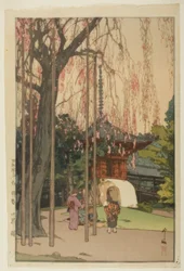 Kirsebærtreet i Kawagoe