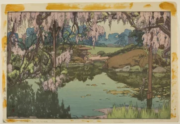 Blåregn