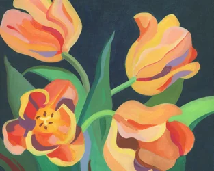 Levende oransje tulipaner