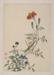 Fugler, insekter og blomster