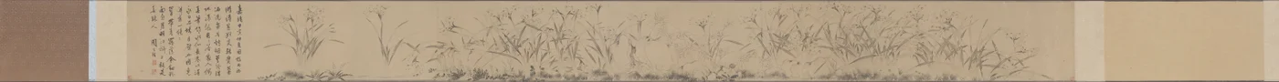 Narcissus Scroll.
