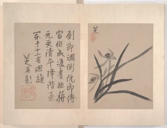 Album med diverse malerier (album med tolv malerier; blekk på papir)