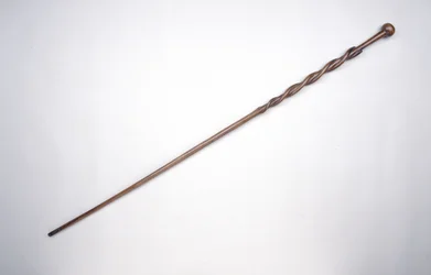 Spaserstokken til Cetshwayo, Zuluenes konge