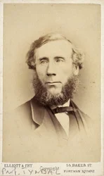 John Tyndall , irsk fysiker, ca 1875