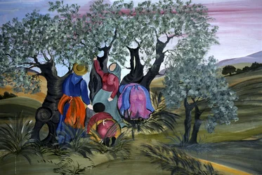 Olivenplukking, naiv av Barbara Mencarelli, Mandoleto, Solomeo, Umbria, Italia