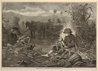 The Last Days of Harvest, fra Harper