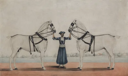 En Syce Groom som holder to vognhester, ca. 1845.