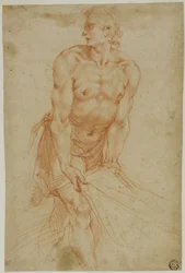 Mann som drar i laken: Studie til begravelsen [Certosa di San Martinos sakristi, Napoli, 1596]