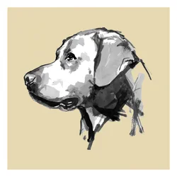 Profil for en uttrykksfull hund