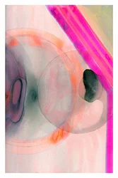 Flytende rosa abstrakt