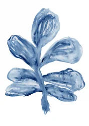 Indigo akvarell, botanisk motiv