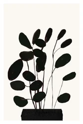 Minimalistisk potteplante