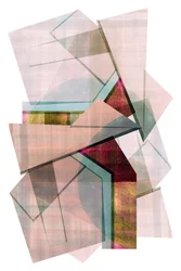 Levende geometriske lag
