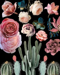 Kaktus, blomster, blomstring, botanikk