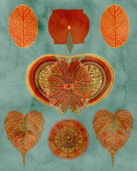 Intrikat botanisk arrangement