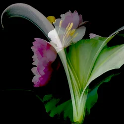 Blomsterkollasje, 2018 (blandet teknikk)