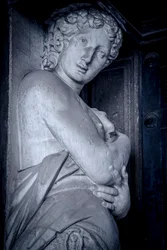 Biblioteca Marciana, Venezia, Italia (bilde)